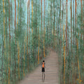 Art Print| Awe | Boranup Forest